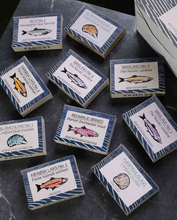 Load image into Gallery viewer, The FANGST Explorer Sampler Box - Pack of 10