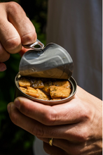 Load image into Gallery viewer, Seed to Surf Celery Root Smoked Whitefish (Vegan)