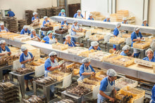 Load image into Gallery viewer, Santa Catarina Gourmet Tuna Fillets with Fennel and Olive Oil
