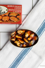 Load image into Gallery viewer, Alamar Small Mussels in Marinade
